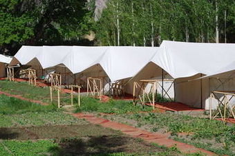 Mystique Meadows Camp