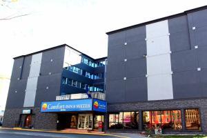 Hotel Comfort Inn & Suites