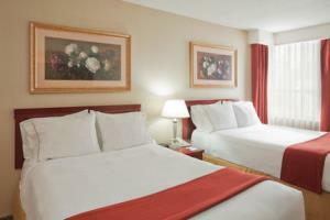 Hotel Holiday Inn Express Toronto Downtown