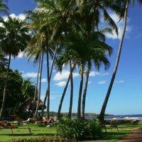 Hotel Tamarindo Diria Beach And Golf Resort(hdo)