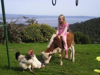 Agroturismo Nightingale Falls Farmstay Retreat