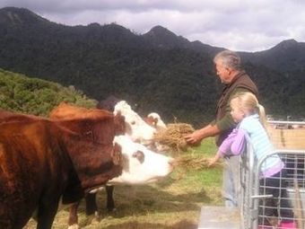 Agroturismo Nightingale Falls Farmstay Retreat