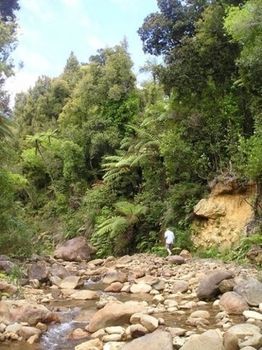 Agroturismo Nightingale Falls Farmstay Retreat