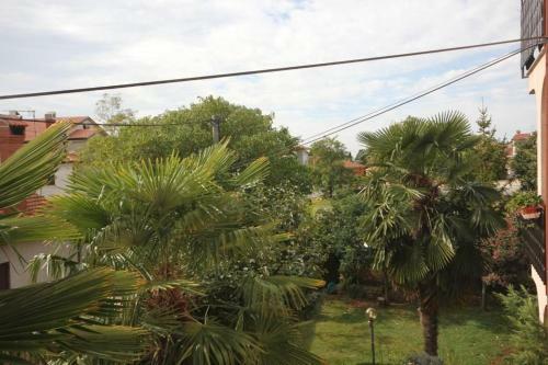 Apartment Basanija 7334a
