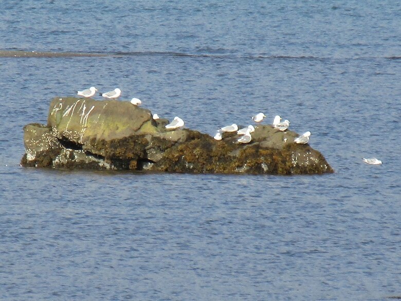 Agroturismo Lindarbrekka