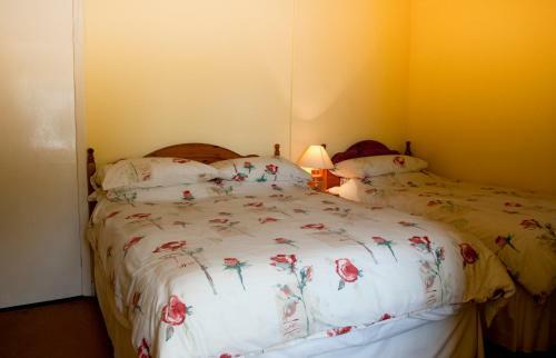 Shamrock House B&B