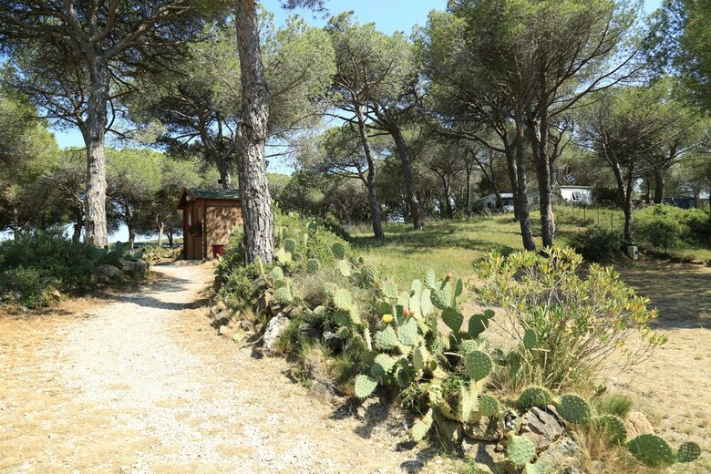 Camping Figurotta