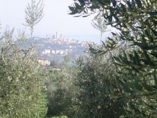 Albergue Fattoria San Donato
