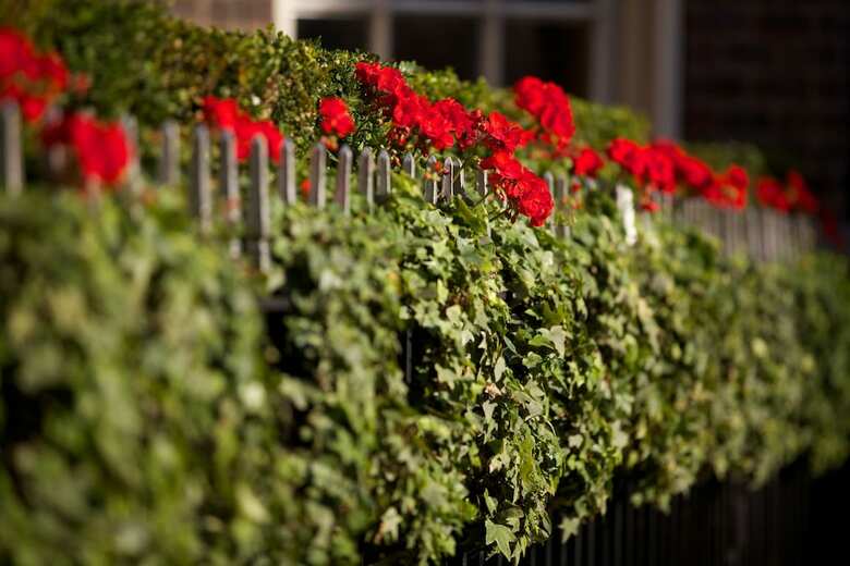 Hotel The Chesterfield Mayfair