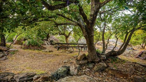 Agroturismo Su Ponti Biancu