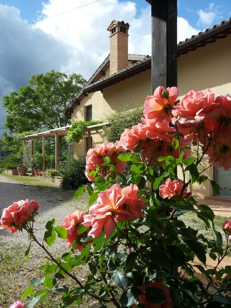 B&B Antegiano