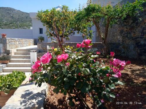 Kavousanos Apartments