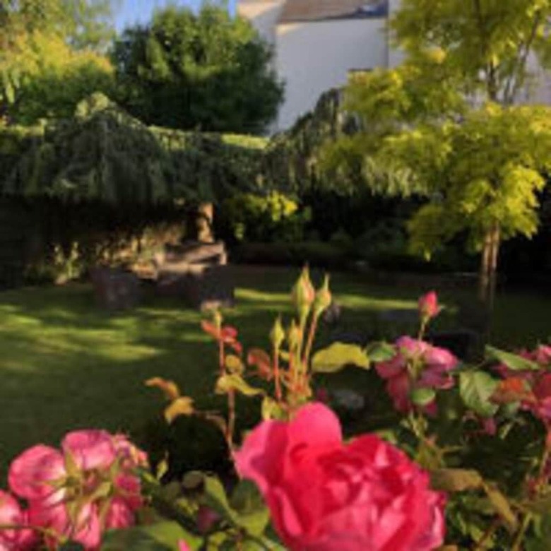 Inter-hotel Des C�dres