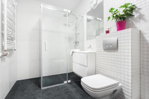 Apartamenty Borowinowa2