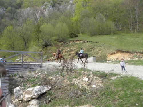 Villa Farmhouse Rosehip Romania Brasov