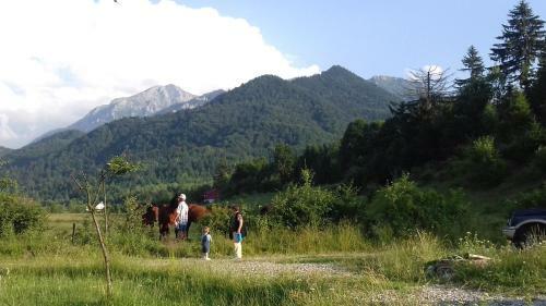 Villa Farmhouse Rosehip Romania Brasov