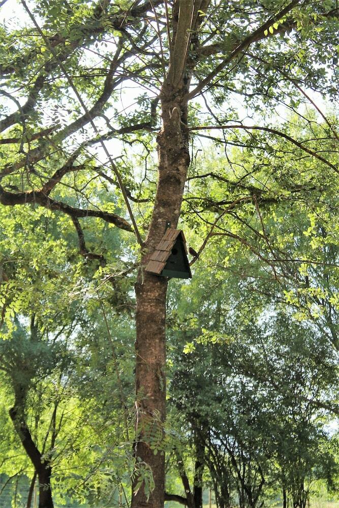 Agroturismo Retiro Do Bosque Country House