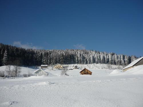 Chalet - Gerardmer