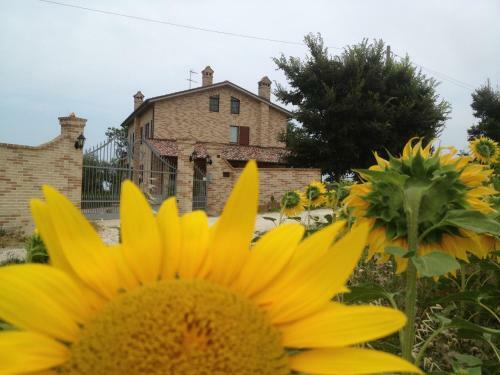 Agroturismo Agriturismo Bio Verde Armonia