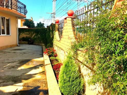 Hostal Adler Hotel