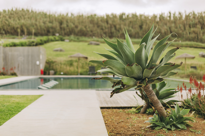 Villa Santa Barbara Eco-beach Resort