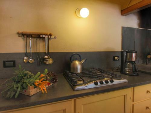 Apartamento Podere Pulicciano Pozzo