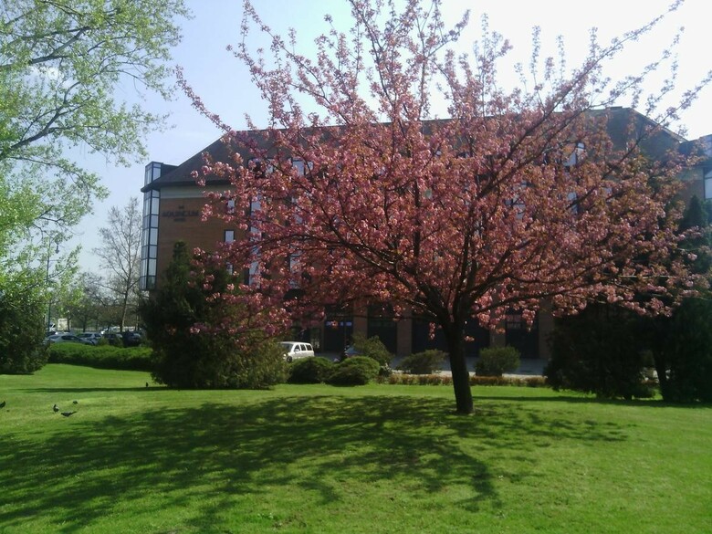 The Aquincum Hotel Budapest