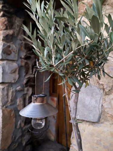 Albergue Pension Uxarte
