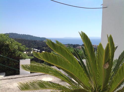 Hotel Azur