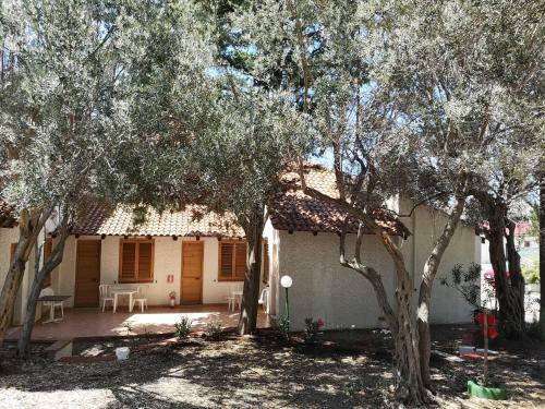 Camping B&B Gioiosa