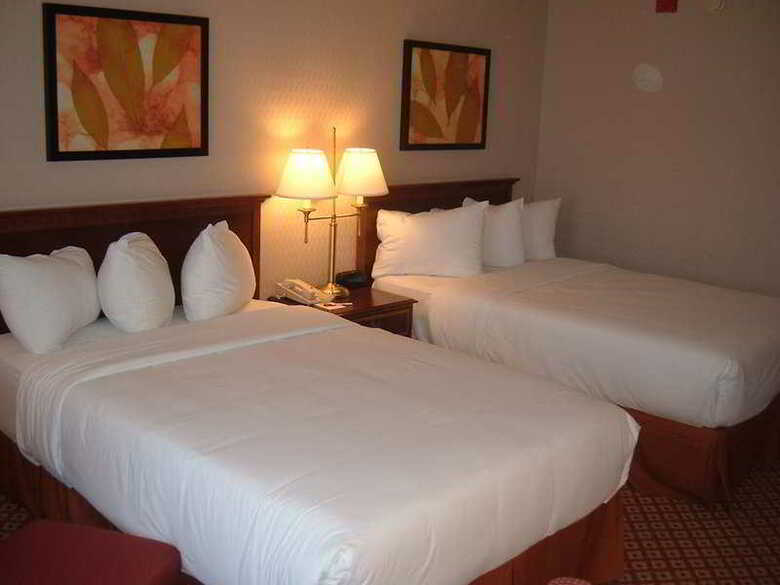 Hotel Holiday Inn Chicago O'hare Area