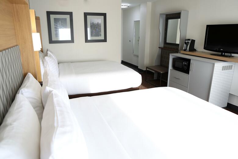 Hotel Holiday Inn Chicago O'hare Area