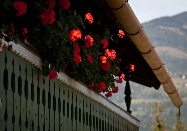 Hotel Gasthof Mitteregger