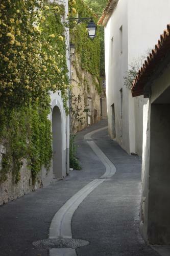 Hotel Le Mediterran�e
