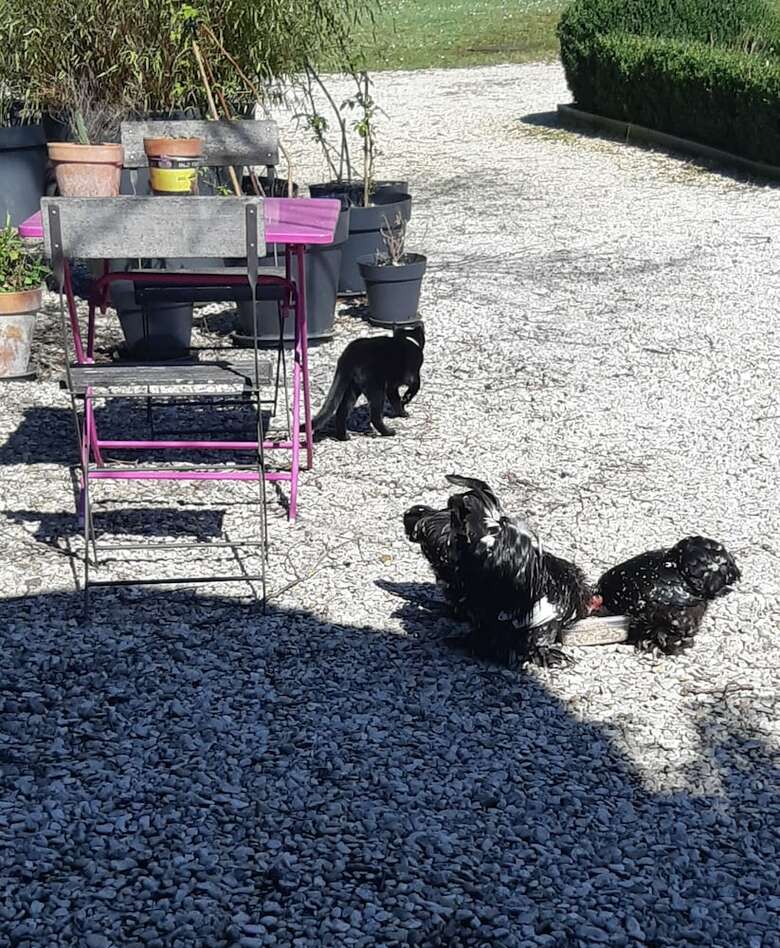 Bed & Breakfast La Maison Dans Le Parc