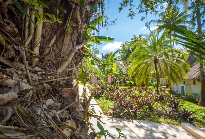 Hotel Kiwengwa Beach Resort