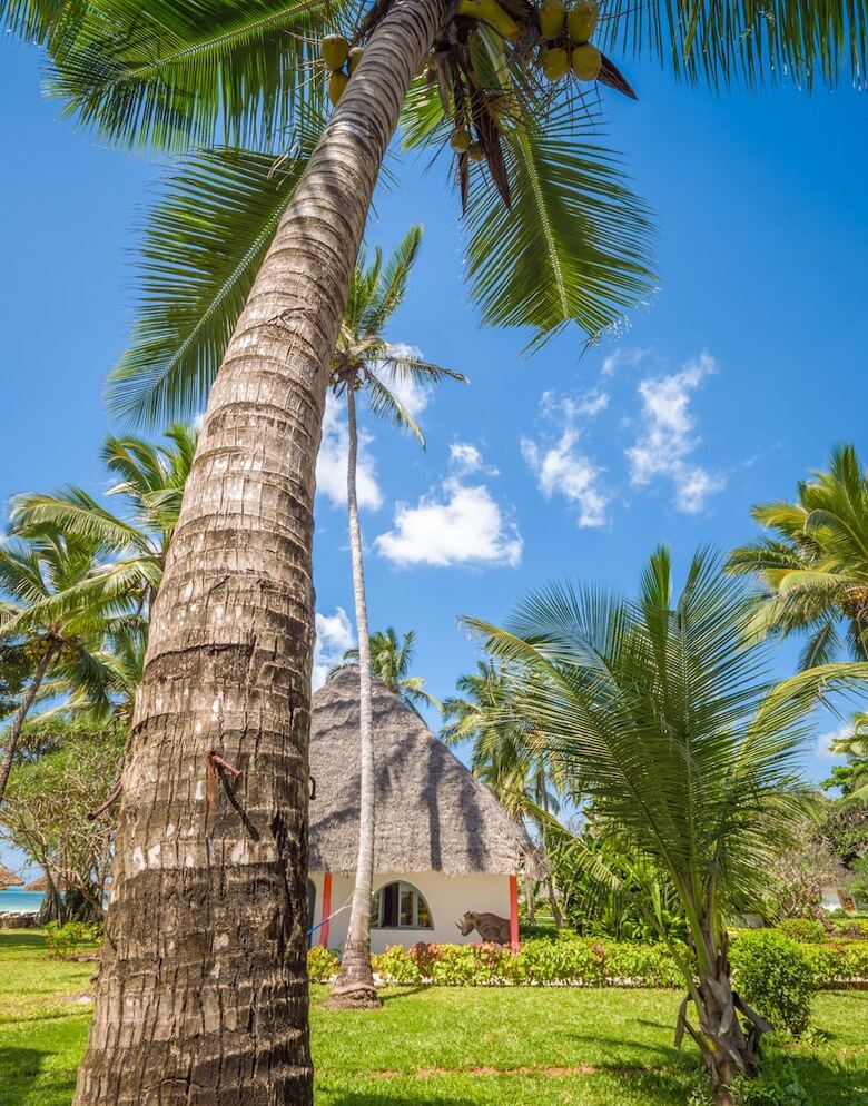 Hotel Kiwengwa Beach Resort