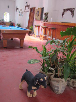 Hotel Kilima Kidogo Guest House