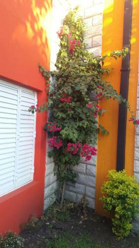 Apartamento Costas Del Paraiso