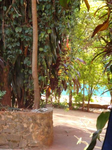 Apartamentos Residencial Uno