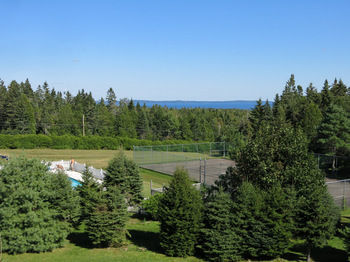 Posada Tara Manor Inn