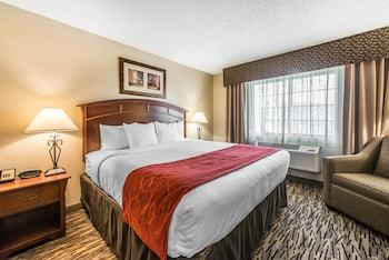 Hotel Comfort Suites Golden West On Evergreen Parkway