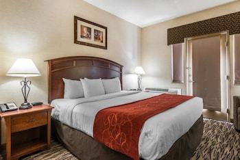 Hotel Comfort Suites Golden West On Evergreen Parkway