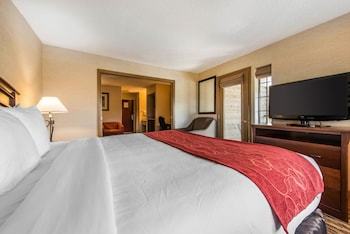 Hotel Comfort Suites Golden West On Evergreen Parkway