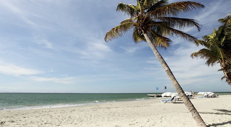 Hotel Surf Paradise
