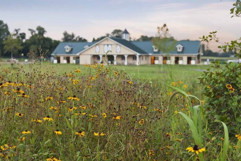 Hotel Salamander Resort And Spa