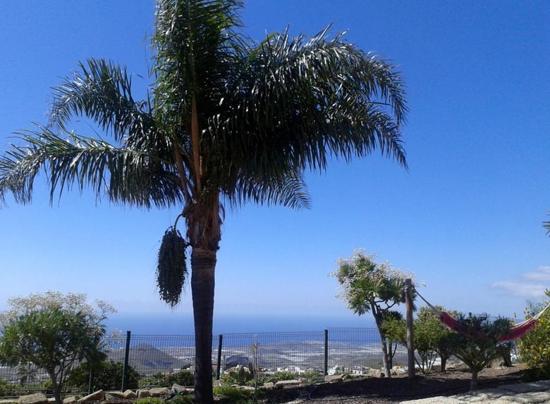 Hotel Finca Vista Bonita
