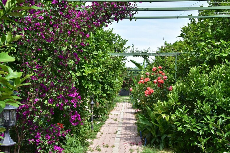 Lemon Garden Lodge