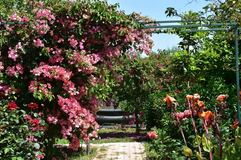 Lemon Garden Lodge