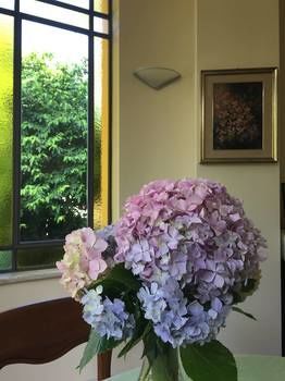 Carducci 24 Bed & Breakfast